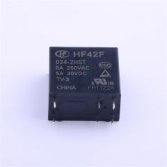 HF42F/024-2HST   24VDC 5A   DPST-NO (2 Form A)   6 PİN Röle