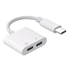 2-IN-1 TYPE C CONVERTOR ADAPTER 3A MAX